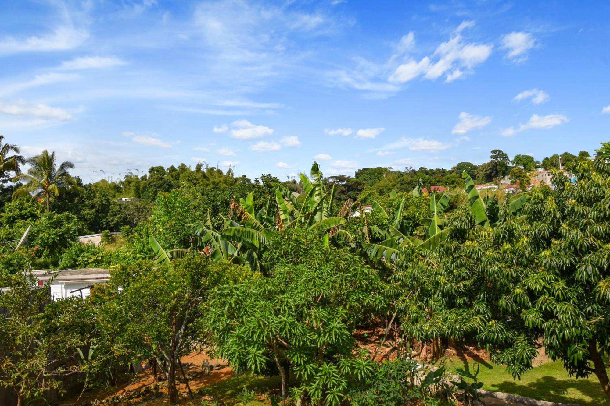 Harriott Heights Apartment Mandeville Exterior foto