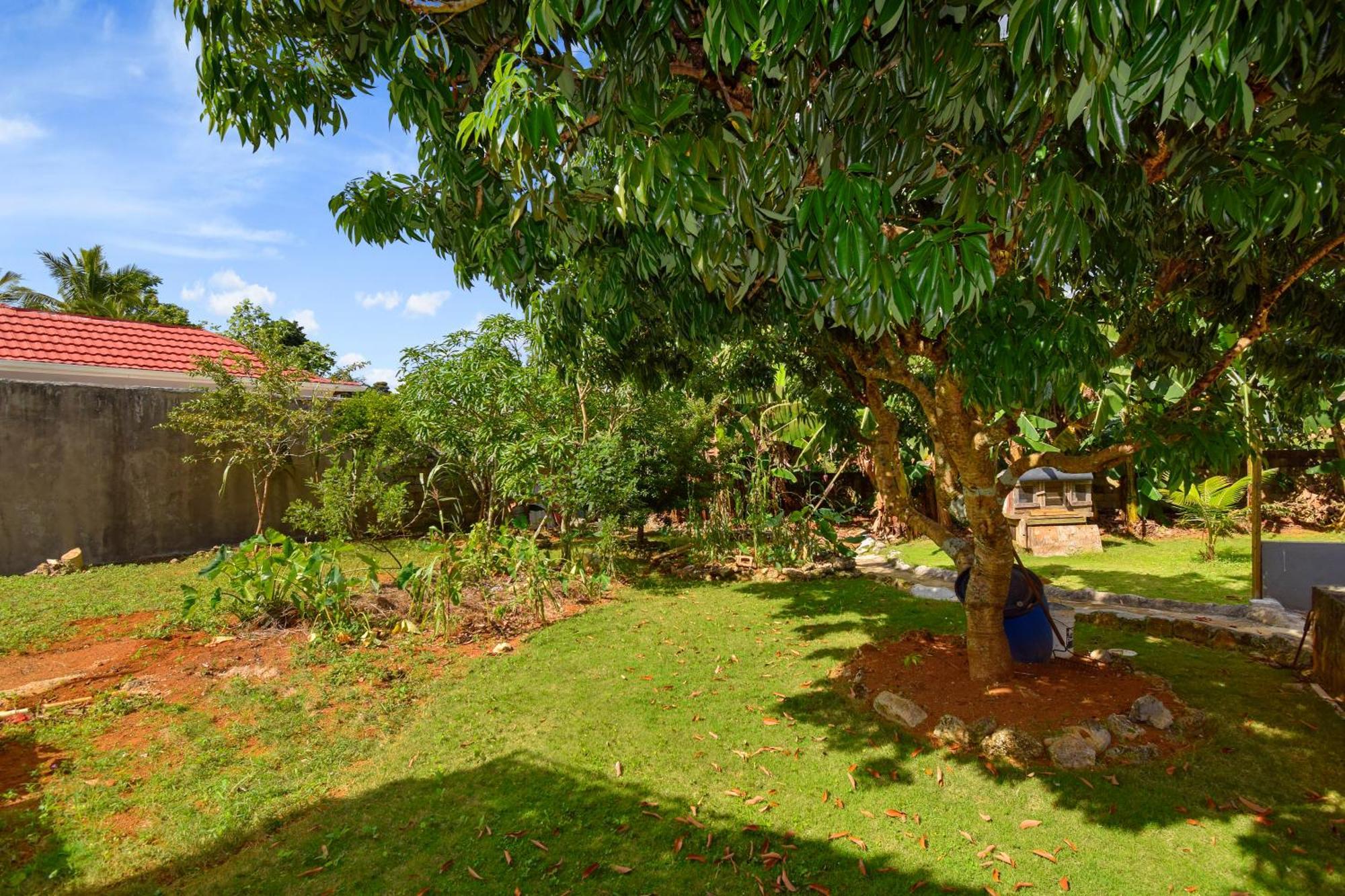 Harriott Heights Apartment Mandeville Exterior foto